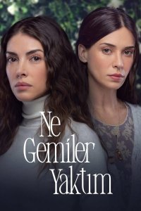  Какие корабли я сжег  смотреть онлайн